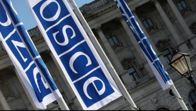 Делегация РФ не получила визы от Польши для участия в ПА ОБСЕ