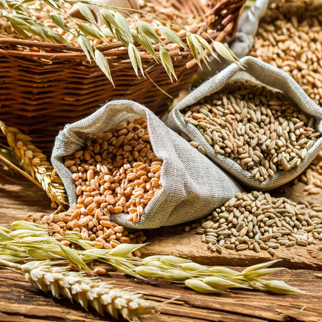 Украина отправит 30 тысяч тонн пшеницы в Йемен
