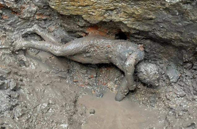 В Италии нашли коллекцию древних бронзовых статуй: лежали в грязи около 2000 лет