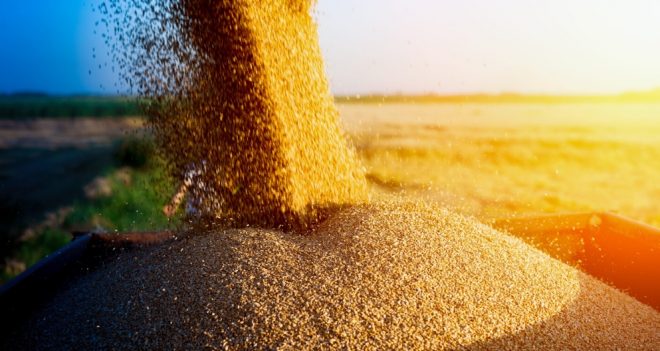 Программа Graine from Ukraine: поставку зерна в Африку и Азию профинансируют несколько государств