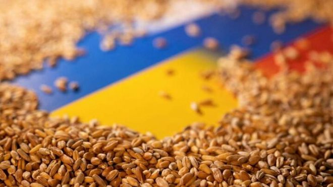 Польша готовится продлить запрет на импорт украинского зерна на этой неделе