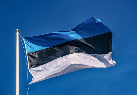 Эстония передаст Украине новую военную помощь