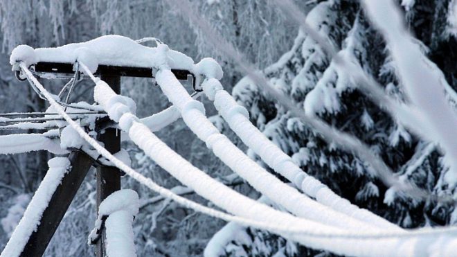 Налипание мокрого снега: во Львове упали более сотни деревьев, остановлен электротранспорт
