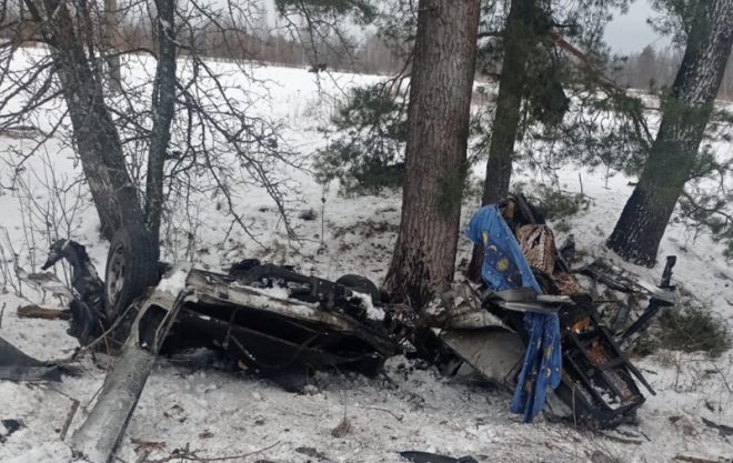 В Житомирской области взорвалось авто: без родителей остались 8 детей