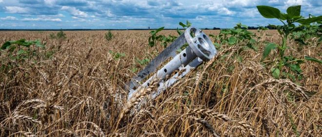 Украинским сельхозпроизводителям нужны деньги для разминирования полей: многие рассматривают аграрную расписку как вариант