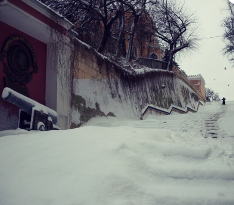 Упавшие деревья, оборванные провода, дети на санках: в Одессе прошел снегопад