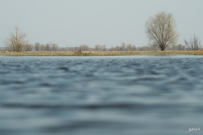 На реке Десна может повыситься уровень воды: синоптики предупреждают о подтоплениях на Черниговщине