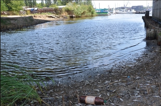 В Николаевской области коммунальщики сбросили сточные воды в реку: ущерб на 200 тысяч