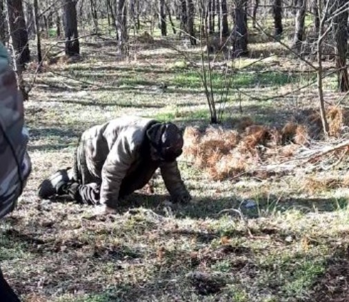 Житель Херсонщины вытаскивал корову из лесу и подорвался на мине: взрывом повредило ноги