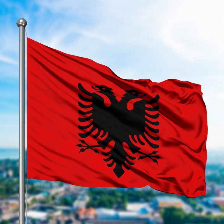 В Албании во время протеста премьера призвали к отставке