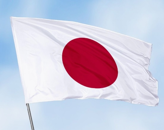 Сменятся 13 из 19 министров: правительство Японии подало в отставку