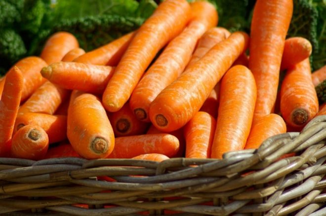 В Украине до 44 гривен подорожала морковь: цены будут расти &#8212; СМИ