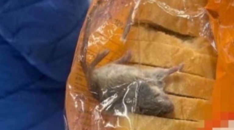 Мышь лежала на батоне: в столичном супермаркете &#8212; скандал из-за грызуна в упаковке с хлебом