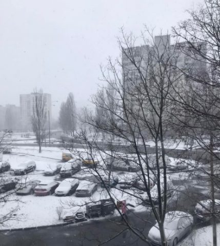 17-18 ноября в нескольких областях Украины ожидается мокрый снег