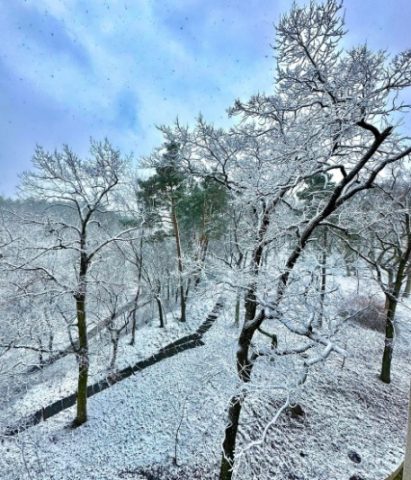 Резко похолодало: Киев в марте засыпало снегом