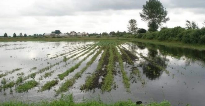 В Украине из-за потепления может затопить сельхозземли &#8212; гидрометцентр