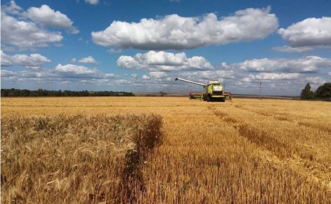 В 9 областях Украины могут быть еще заминированы около 500 тысяч га сельхозземель &#8212; Минобороны