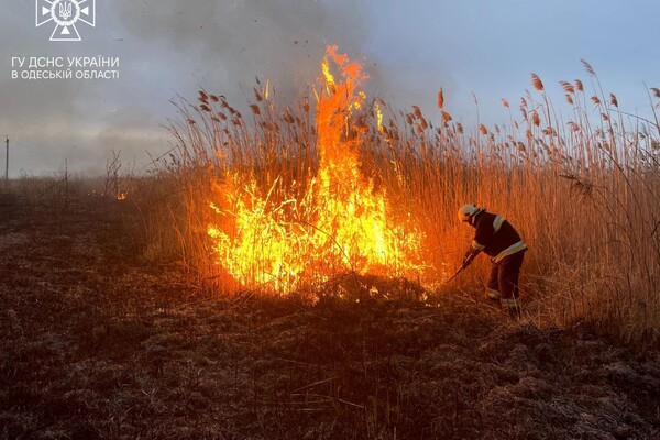 На одесских полях орошения &#8212; масштабный пожар: горит тысяча квадратных метров сухой травы и камышей  