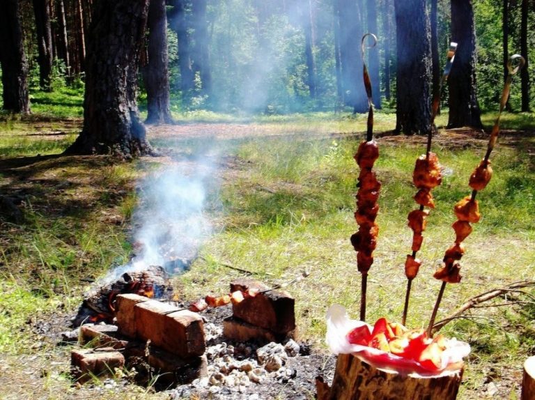 Шашлыки на майские праздники в Украине: в каких областях запрещено ходить в лес