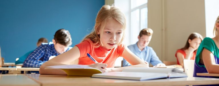 Школы обязаны обеспечить ученикам доступ к семейной, экстернатной и дистанционной формам обучения &#8212; МОН Украины