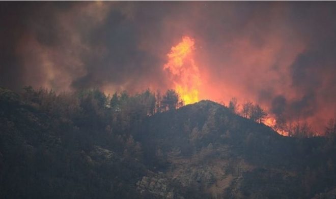 Под Киевом в лесу начался пожар: гремят взрывы, детонируют российские снаряды