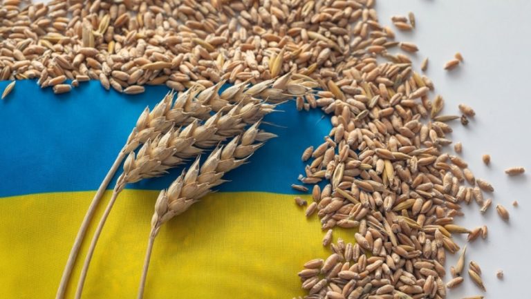 ЕС: Польша и Венгрия проигнорировали встречу по экспорту украинского зерна