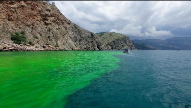В бухте Крыма морская вода приобрела ярко-зеленый цвет &#8212; соцсети