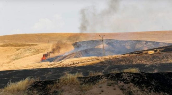Может заплатить штраф 150 тысяч гривен: житель Одесской области бросил окурок в траву на поле и устроил пожар