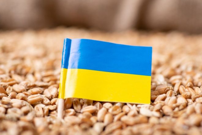 ЕС согласовал выплату 100 млн евро пяти странам, где фермеры требовали остановить импорт украинского зерна