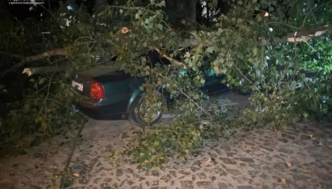 Ночью в Днепре и области бушевал ураган: повреждены здания и авто, зафиксировано падение десятков деревьев
