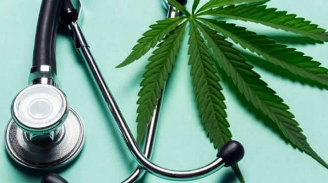 Рада одобрила легализацию медицинского каннабиса: принят за основу законопроект