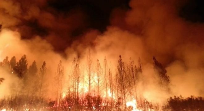 В Греции задержали более 70 подозреваемых в поджогах, приведших к лесным пожарам