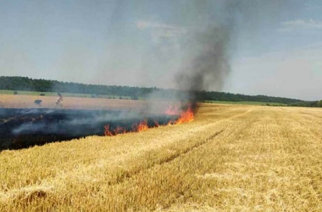 В Одесской области произошел пожар на поле с пшеницей: с огнем боролись 22 спасателя ГСЧС