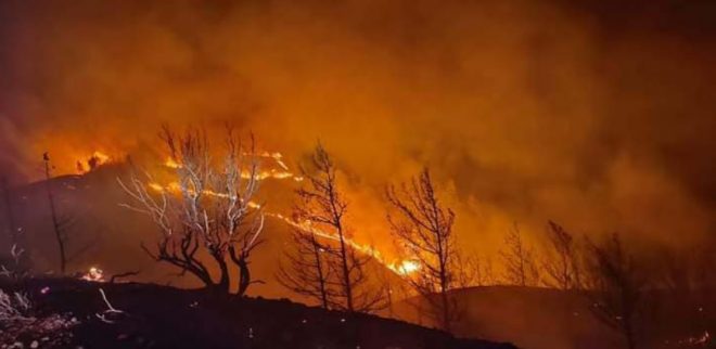 В Греции за сутки произошел 51 новый лесной пожар