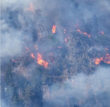 Лесной пожар охватил швейцарские Альпы