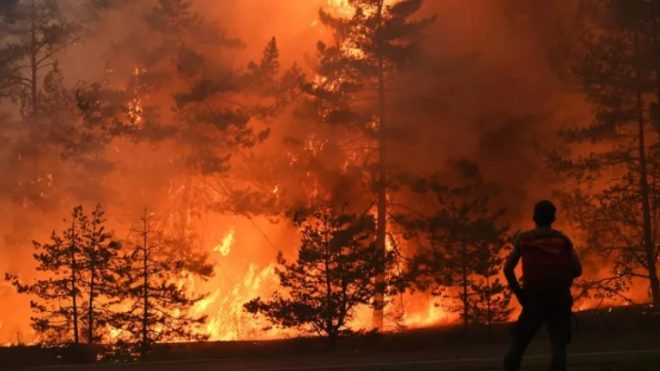 В Хорватии возле курорта вспыхнул лесной пожар: из-за ветра огонь пошел на дома, люде эвакуировали