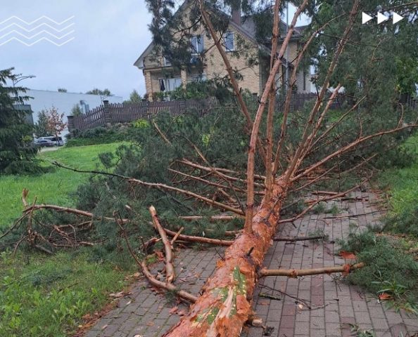 Буря бушует в Литве: порвало электропровода, тысячи людей без света, повалило деревья, сорвало крыши с домов