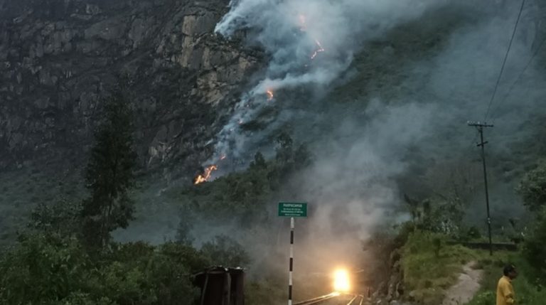 Огонь охватил более 200 га земель: в Перу уже неделю бушуют лесные пожары