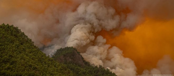 &#171;Худшее позади&#187;: площадь лесных пожаров на испанском Тенерифе достигла 15-ти тысяч гектаров