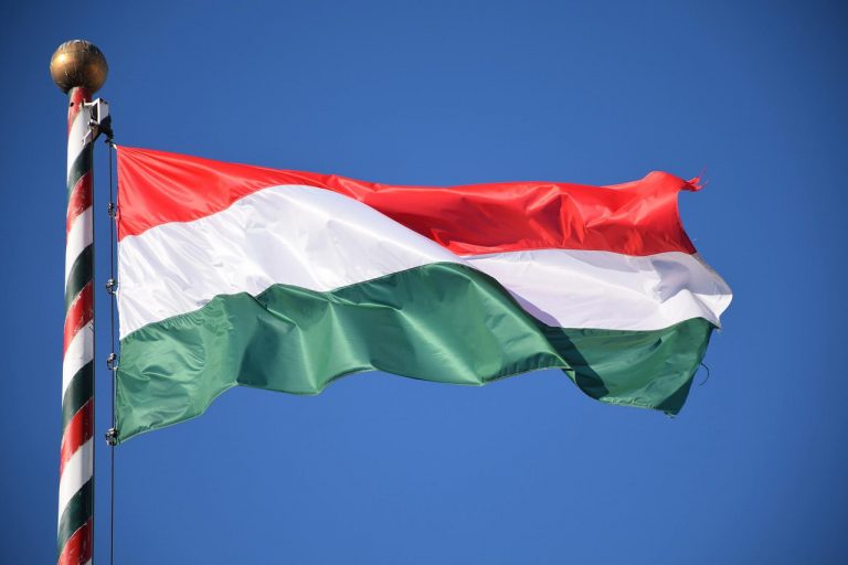 Петиция о лишении премьера Венгрии права голоса в совете ЕС набрала нужное число подписей в Европарламенте