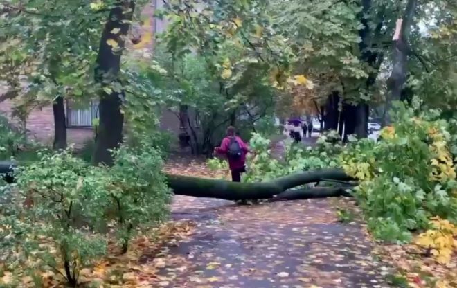 В Киеве бушует ураган, есть погибшие и пострадавшие: ветром сносит крыши, деревья вырывает с корнем &#8212; соцсети