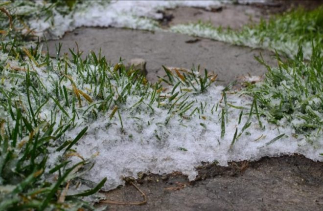 Зима началась в Карпатах: в Украине выпал первый снег