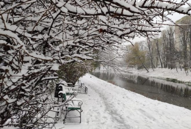 Киев заметает снегом: на дорогах значительно снижена видимость