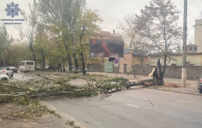 Мощный шторм бушует в Одессе: море заливает набережные, ветер валит деревья