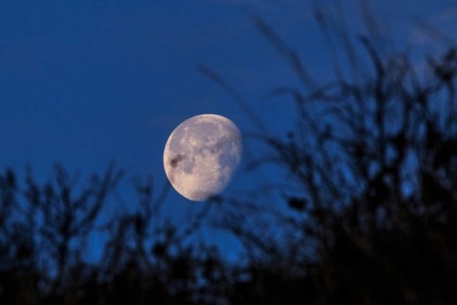 Убывающая Луна в Деве 25 февраля-10 марта 2024 это хороший период для разработки успешной бизнес-стратегии &#8212; астролог