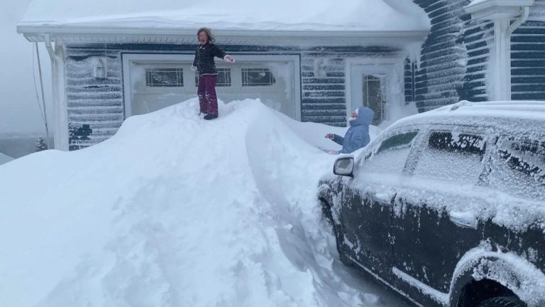 Сугробы больше метра, закрыты школы, отменены авиарейсы: в Канаде прошел сильный снегопад