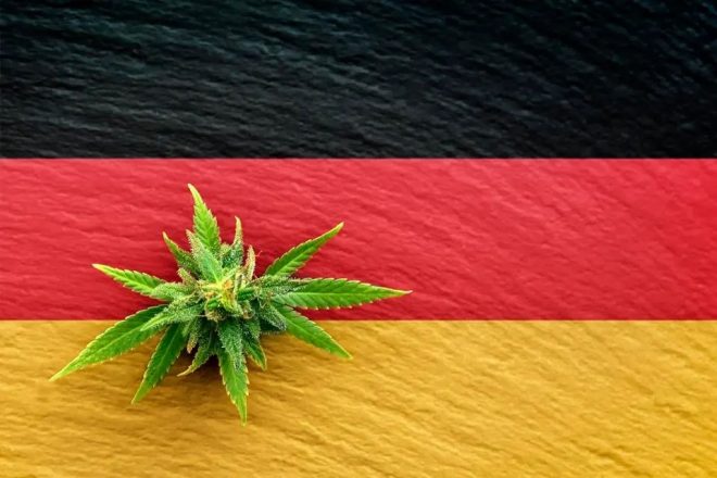 Германия согласовала частичную легализацию каннабиса: закон может вступить в силу в апреле 2024 года