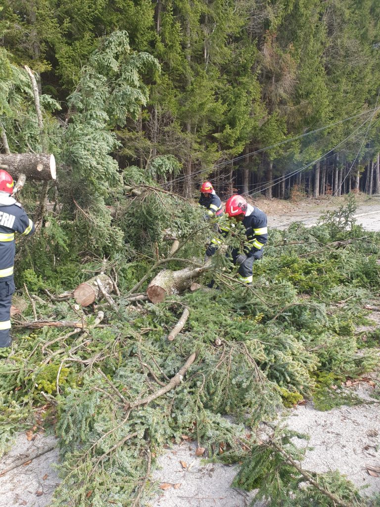 В Румынии сильный ураган повредил деревья, авто и нарушил работу портов