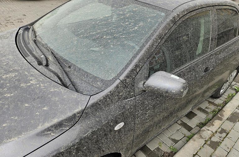 В Николаевской и Одесской областях прошел дождь, который смешался с пылевой бурей из Сахары