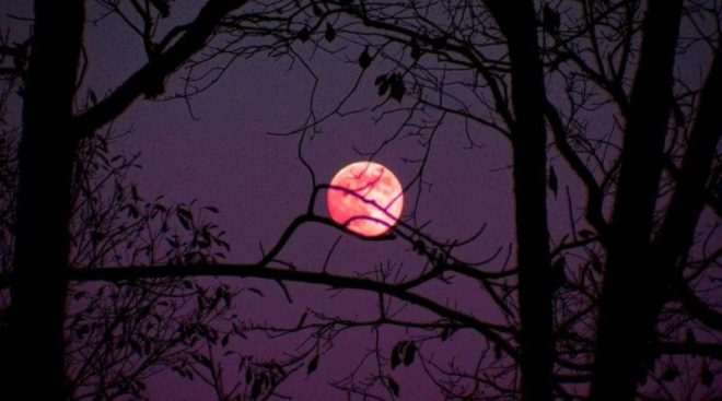 24 апреля взойдет Розовая Луна: астрологи сообщили, что можно и нельзя делать в это полнолуние